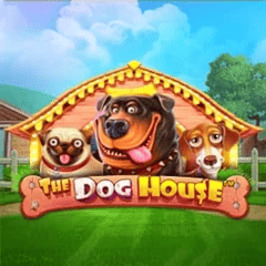 The Big Dog House